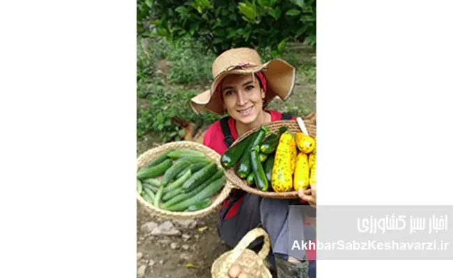 مهاجرت-معکوس-و-خودکفایی-در-قلب-مازندران-2