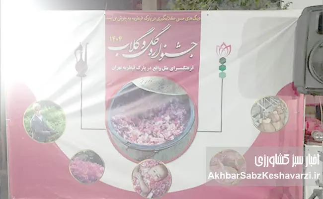 گلاب-و-عرقیجات-سنتی1