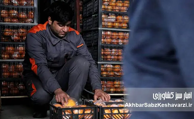 اقلام-شب-عید-و-رمضان-تأمین-شد-6