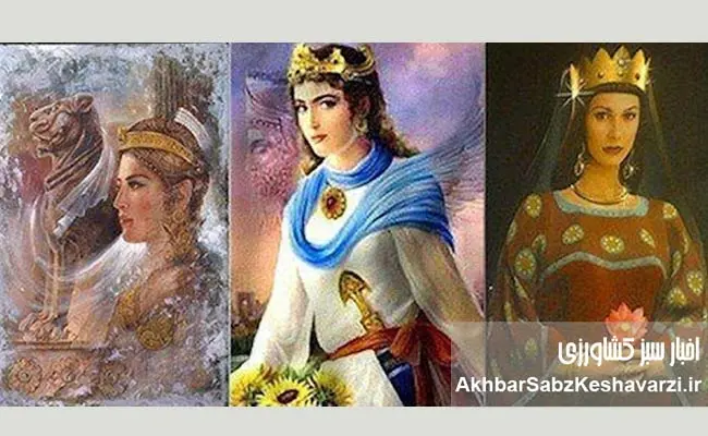 زنانی-که-ایران-را-از-دل-بحران‌ها-نجات-دادند-3