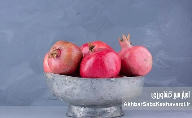 یلدا-فرصتی-برای-باهم-بودن-فارغ-از-سرخی-و-زردی-رویمان!.jpg-2.jpg-2