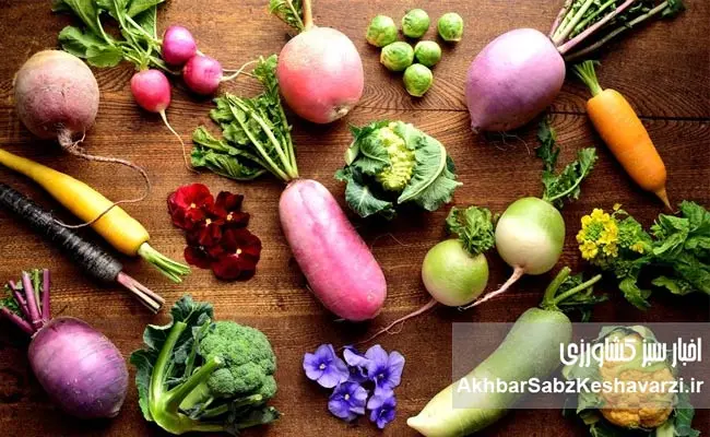 راز-پنهان-سرما-در-سبد-غذایی-ایرانیها