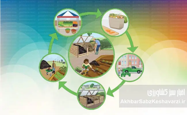 ۳۰-درصد-غذا-دور-ریخته-می‌شود؛-راه-نجات-سفره-و-محیط‌زیست-چیست؟-2