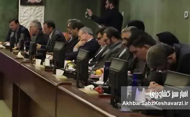 عکس-برگزیده-سال-و-تقدیر-فائو-از-مدیر-روابط‌عمومی-وزارت-جهاد-کشاورزی