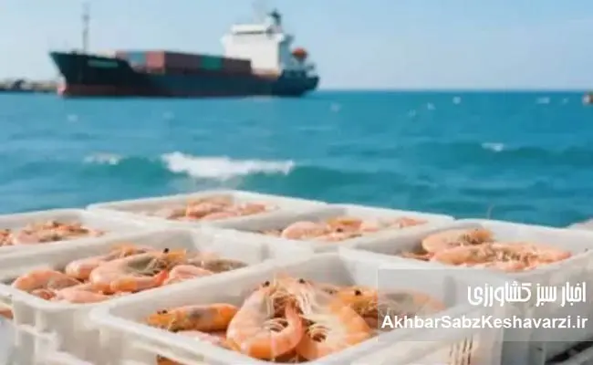 توسعه-دریامحور-8