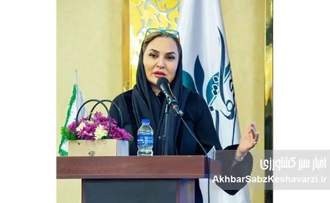 کسب‌وکار-با-چراغ-دانش--3