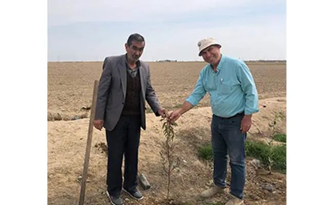 درختداری-مهم‌تر-از-درختکاری3