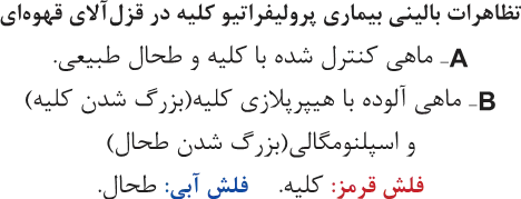 کنترل انگل در ماهی