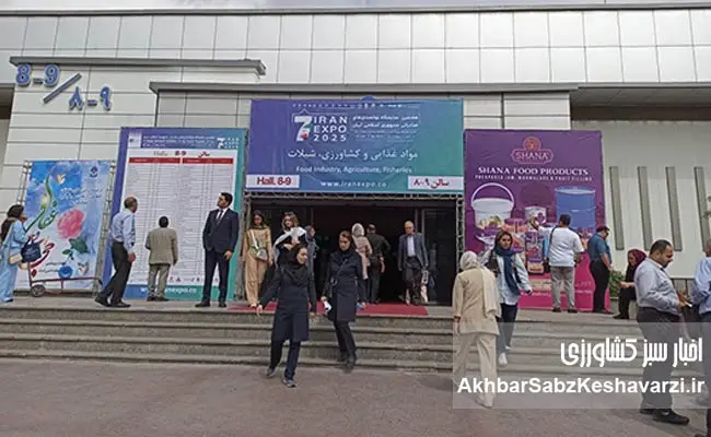 bazdidkonandegan-iran-expo-2025-4