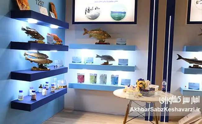 نسل-ششم-پرورشی-ماهی-آزاد-دریای-کاسپین