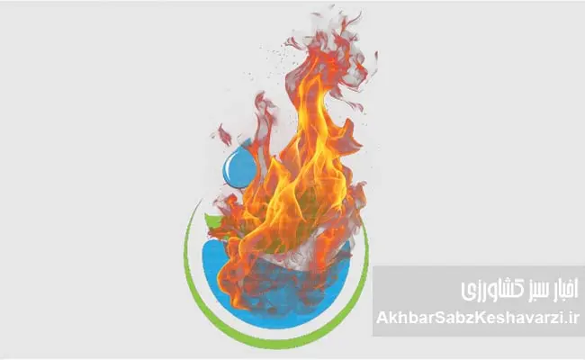 بخش-کشاورزی،-محکوم-به-سوءتدبیر-3