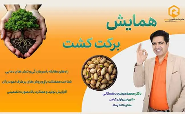 همایش-«کشت-برکت»؛-نسخه-علمی-برای-افزایش-عملکرد-باغات-پسته