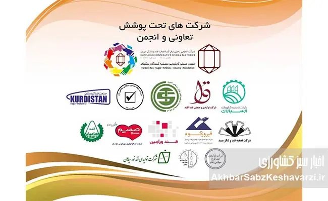 سقوط-واردات-شکر.jpg6