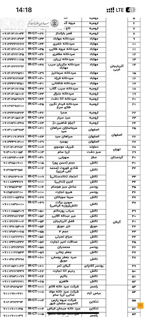 صادرات-کیوی