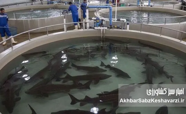 توسعه-دریامحور؛-از-شعارهای-پُرادعا-تا-واقعیت‌های-روی-زمین-7