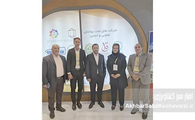 سقوط-واردات-شکر-10