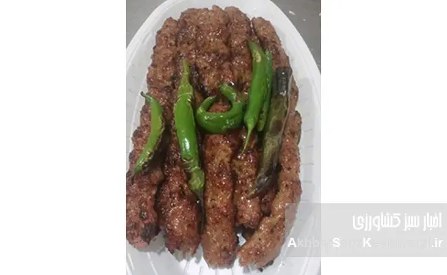 کترینگ-لیمو-ترش-خان-بابا،-راهکاری-برای-زندگی‌های-پرمشغله.jpg0