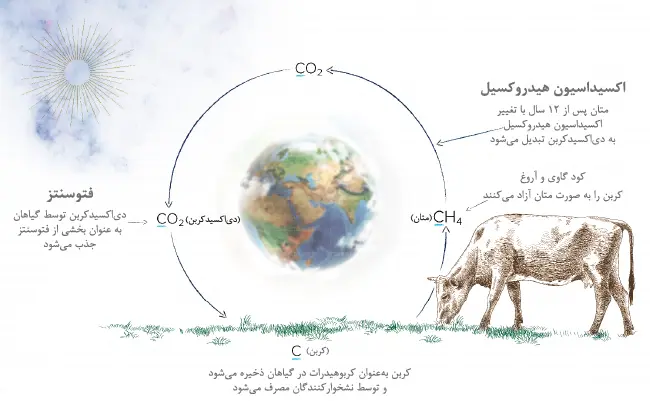 مالیات بر آروغ گاو (2)