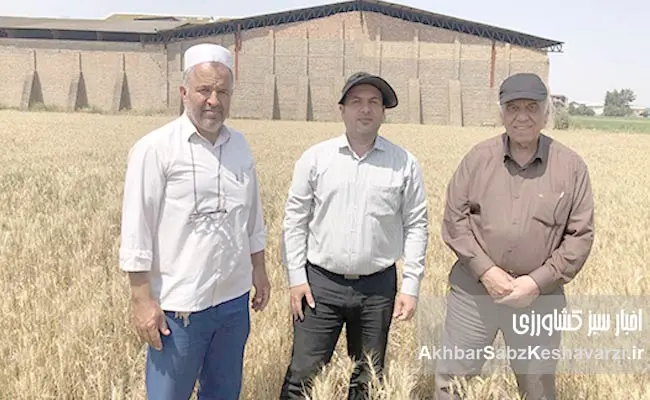 حفظ-بقایای-گیاهی-اراضی-دیم-گلستان-1
