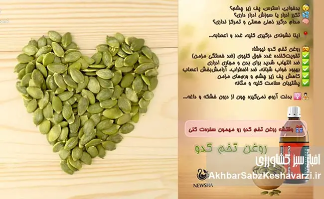 روغن-تخم-کدو.jpg-1