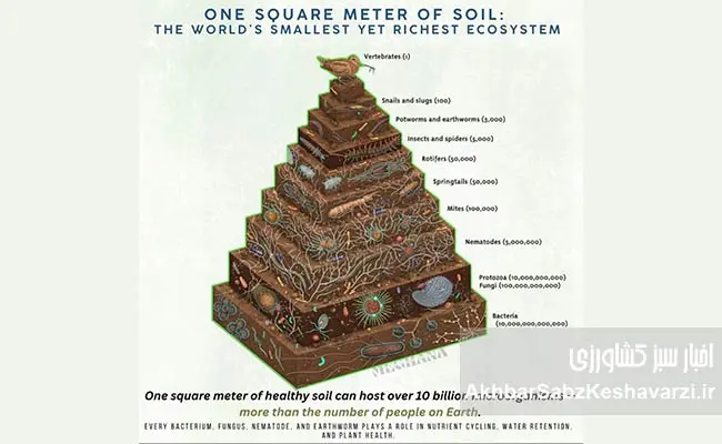 به-استقبال-روز-جهانی-خاک-۲۰۲۵-2