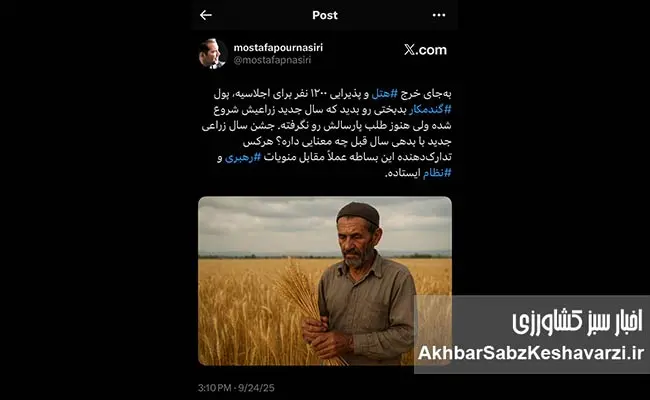 وقتی-پول-گندمکاران-پای-میز-پذیرایی-اجلاس‌های-پرتجمل-می‌سوزد