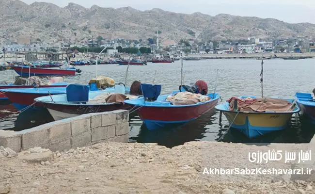 توسعه-دریامحور-3