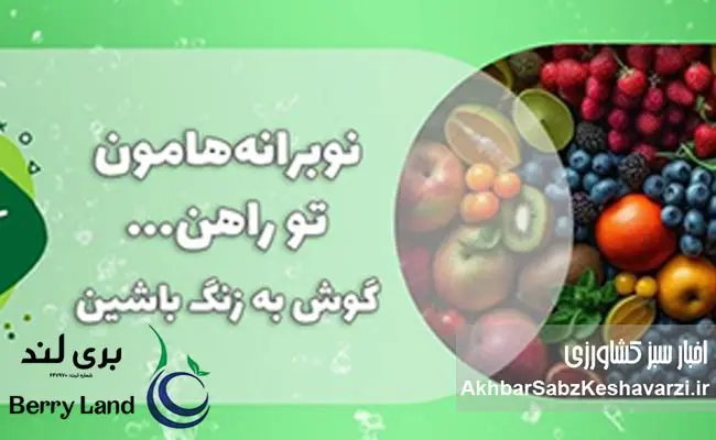 بری-لند-الگوی-ملی-توسعه-باغبانی-و-افتخار-کشاورزی-ایران.jpg-2
