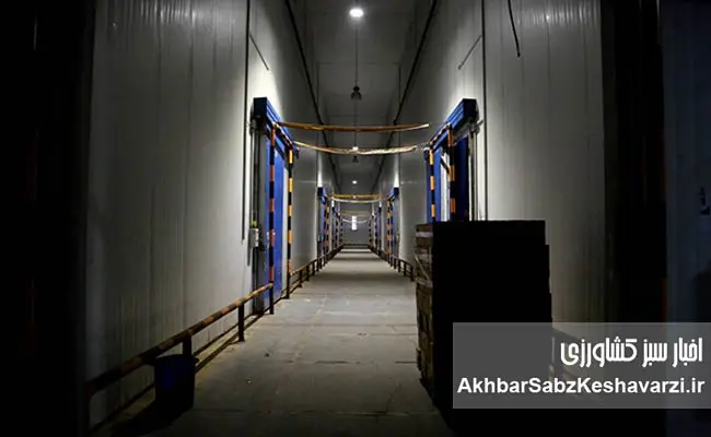 اقلام-شب-عید-و-رمضان-تأمین-شد-10