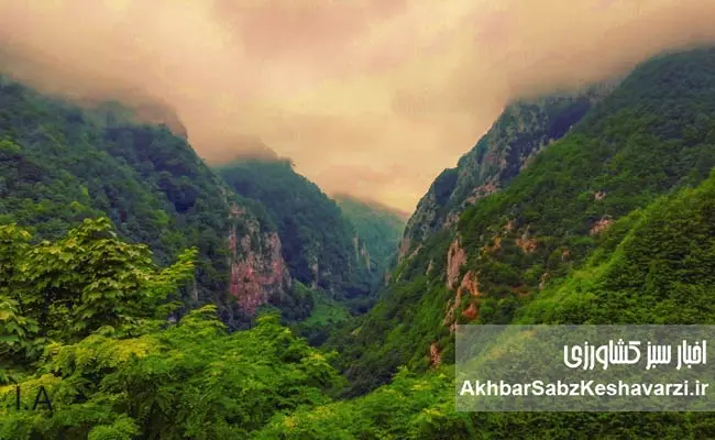 مرگ-تدریجی-«دوهزار»-و-«سههزار»-1