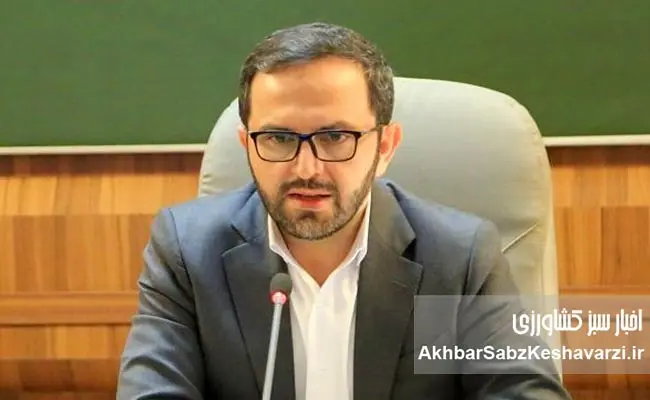 استقبال-۱۷۷-همتی-از-اعتبار-دیجیتال-«نویپو»؛-سیگنال-جدید-تأمین-مالی-تولید