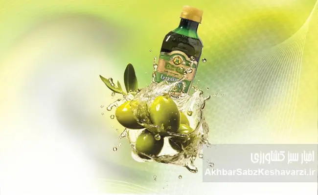 روغن-زیتون-واقعی-یا-تقلبی؟-۶-روش-شناسایی-آن-در-خانه!-3