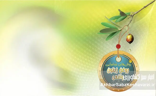 روغن-زیتون-واقعی-یا-تقلبی؟-۶-روش-شناسایی-آن-در-خانه!-1