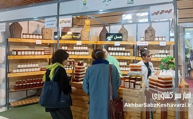 چهاردهمین-نمایشگاه-ارگانیک-تهران-2