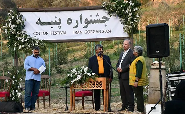 برپایی-جشنواره-پنبه-در-سرزمین-طلای-سفید