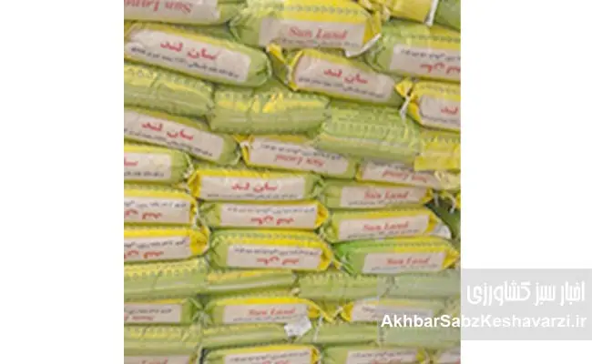 فساد---برنج-۱۱۲۱-