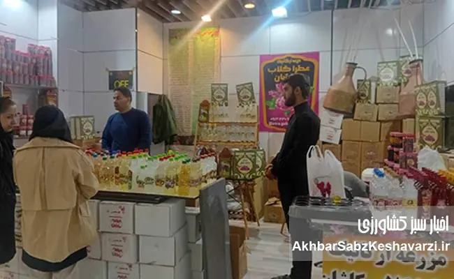 چهاردهمین-نمایشگاه-ارگانیک-تهران-4