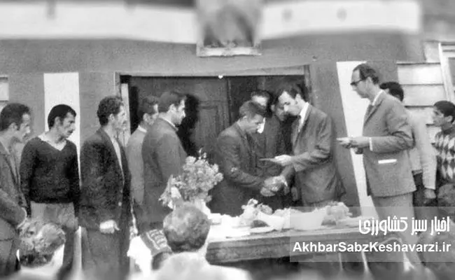 ایران-در-اشغال-متفقین-4