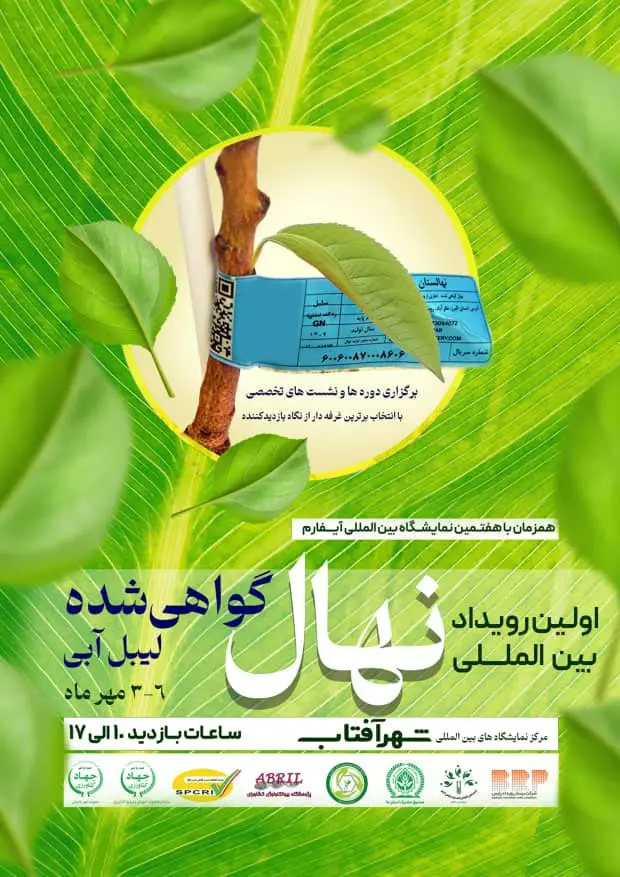 نمودی-دیگر-از-بلوغ-و-شکوفایی-آیفارم