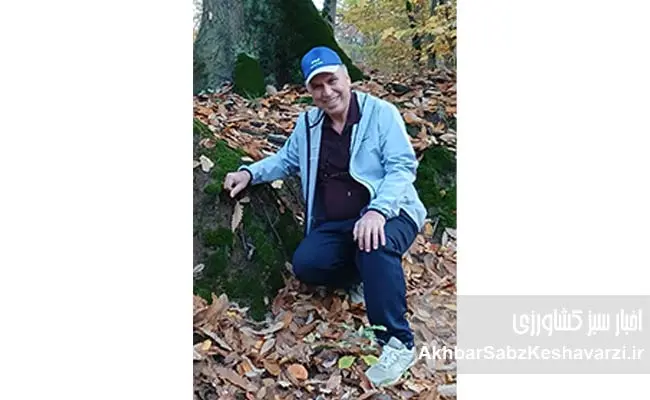 خاک-زنده؛-کارخانه-پنهان-حیات-در-کف-جنگلهای-هیرکانی+-ویدئو-3