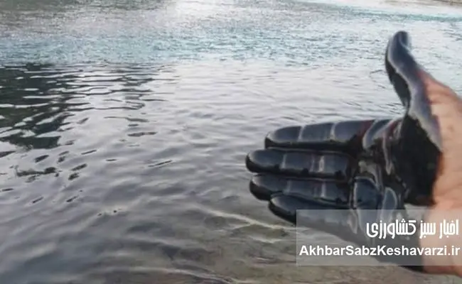 فاجعه-زیست‌محیطی-در-رودخانه-مارون
