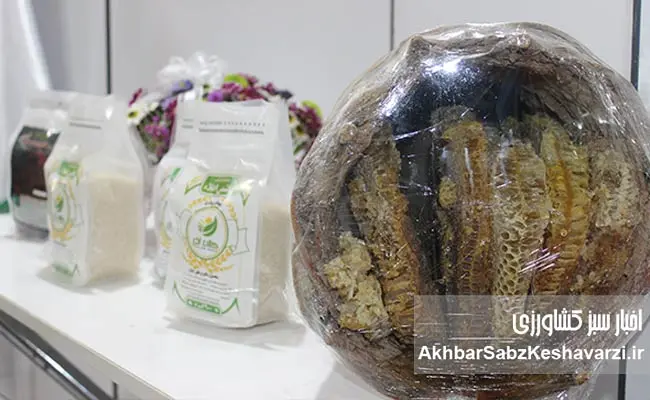 از-دل-خاک-تا-کندوی-عسل؛-کلان-آذر،-نامی-برای-اعتماد-و-سلامت-سفره-ایرانی-3