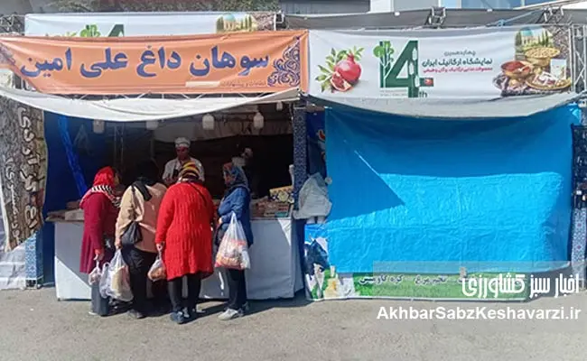 چهاردهمین-نمایشگاه-ارگانیک-تهران-7