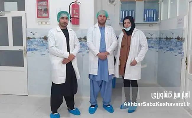 زنبورداری-افغانستان-9