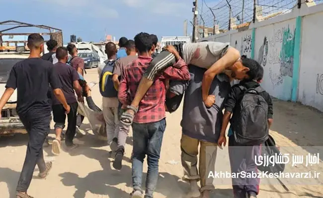 Gaza-and-the-Tragedy-of-a-Single-Meal5
