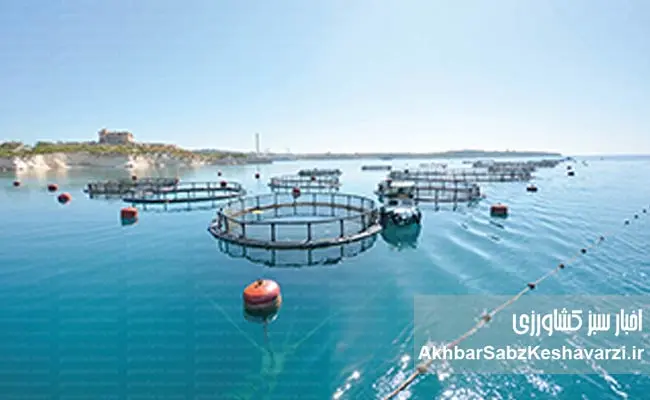 شیلات-هوشمند-زیرساخت-پایداری-در-ایران