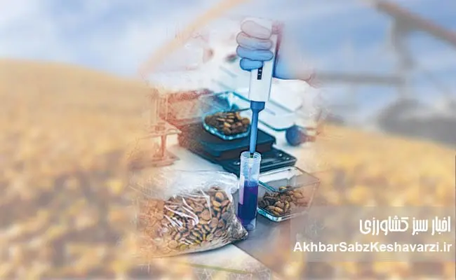 غذای-دام-را-آزمایش-کنید؛-تصمیمی-ساده-با-سودی-بزرگ-3