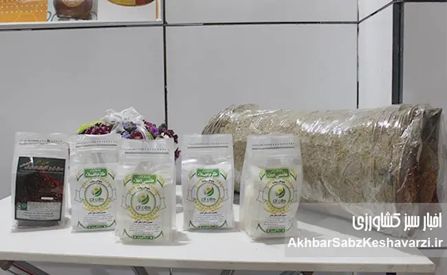 از-دل-خاک-تا-کندوی-عسل؛-کلان-آذر،-نامی-برای-اعتماد-و-سلامت-سفره-ایرانی-4