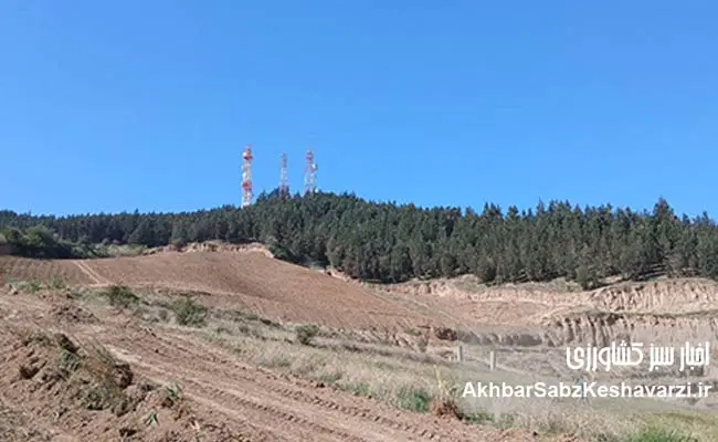 وقتی-برگردان-خاک-برخلاف-اصول-حفاظتی-اجرا-می‌شود؛-زنگ-خطر-در-قلب-گرگان+-ویدئو-6