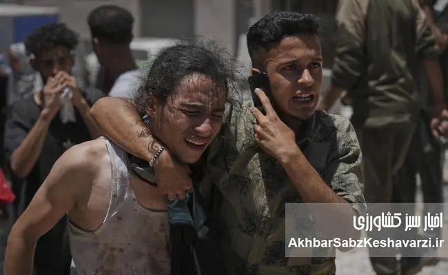 Gaza-and-the-Tragedy-of-a-Single-Meal1